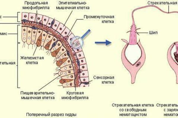 Ссылка кракен официальная тор