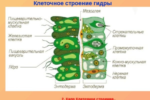 Гидра кракен