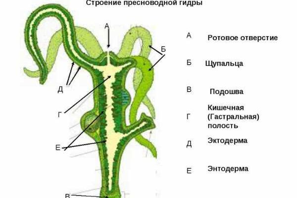 Ссылка на кракен онион