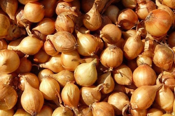 Где найти ссылку кракен