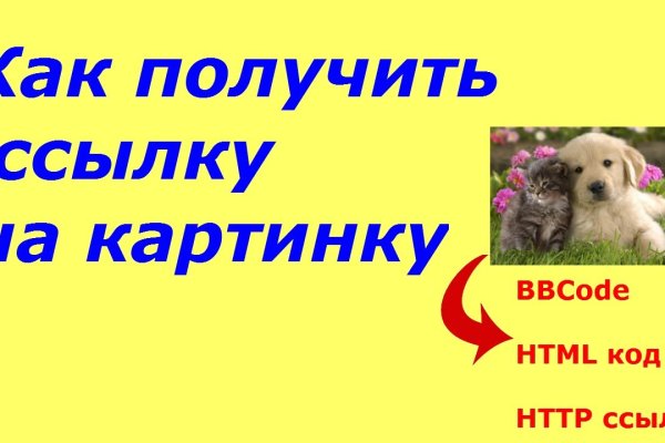 Правильная ссылка на кракен