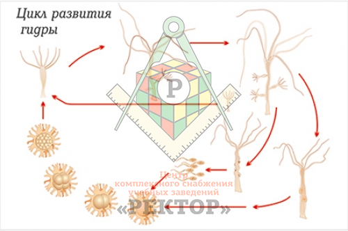 Кракен макет плейс